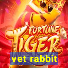 vet rabbit